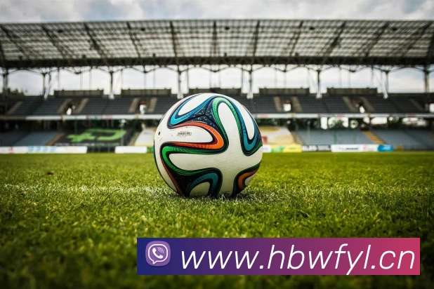 beat365唯一官方网站平台生态图